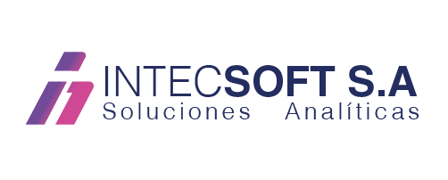  Intecsoft S.A.